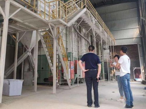 隆平數(shù)科助力 邵陽紅 品牌發(fā)展壯大