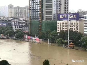 邵陽挺住 2019.7.9洪水侵襲寶慶,洪峰過境全程大紀(jì)實(shí)